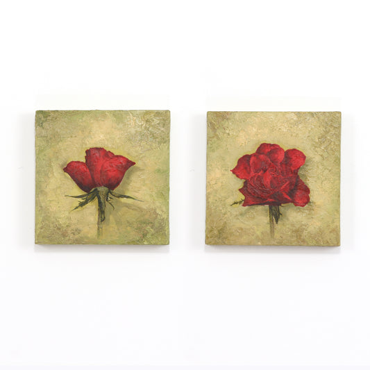 Perfect Rose - 10 x 10 (each)